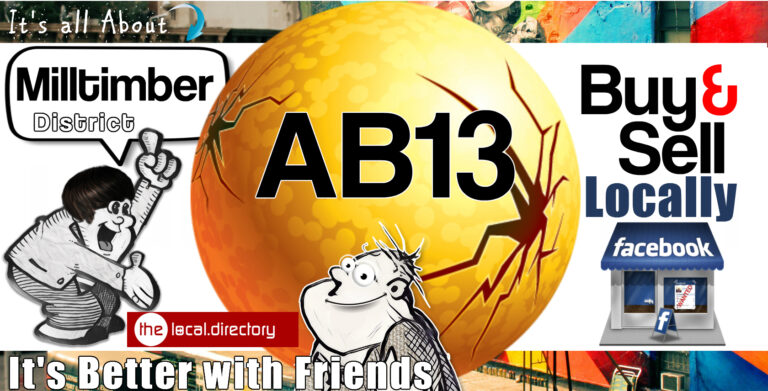 001AB13 768x391