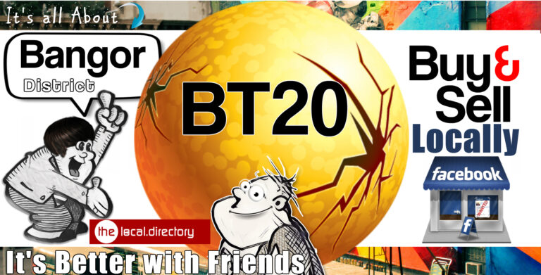 001BT20 768x391