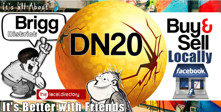 001DN20 768x391