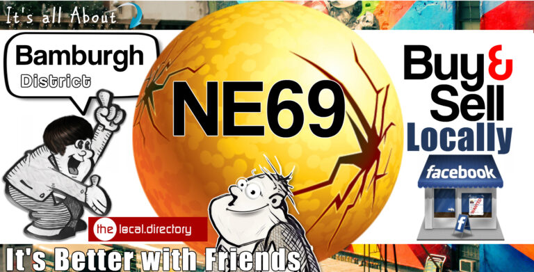 001NE69 768x391