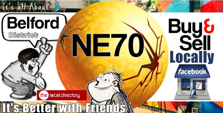 001NE70 768x391