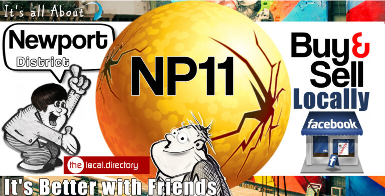 001NP11 768x391