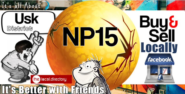 001NP15 768x391
